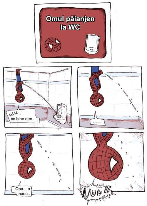 omul-paianjen-la-baie