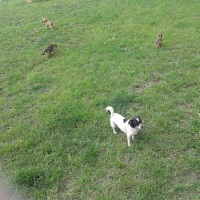 Ne facem prieteni oriunde mergem